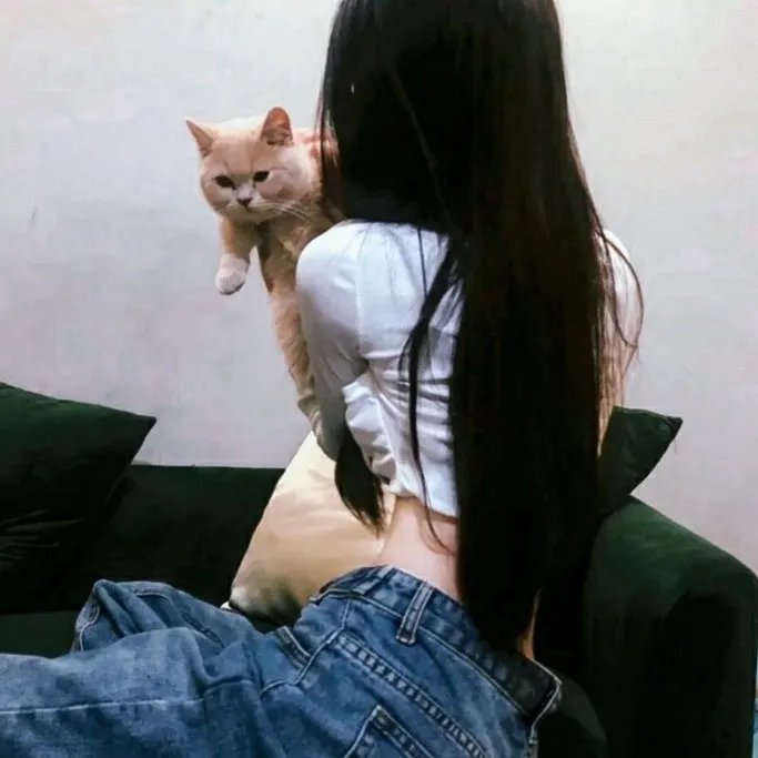 纽约教父